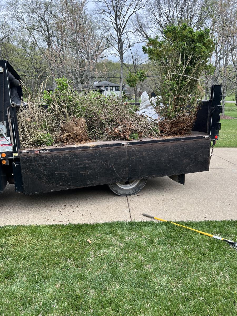 Seasonal Cleanup & Maintenance