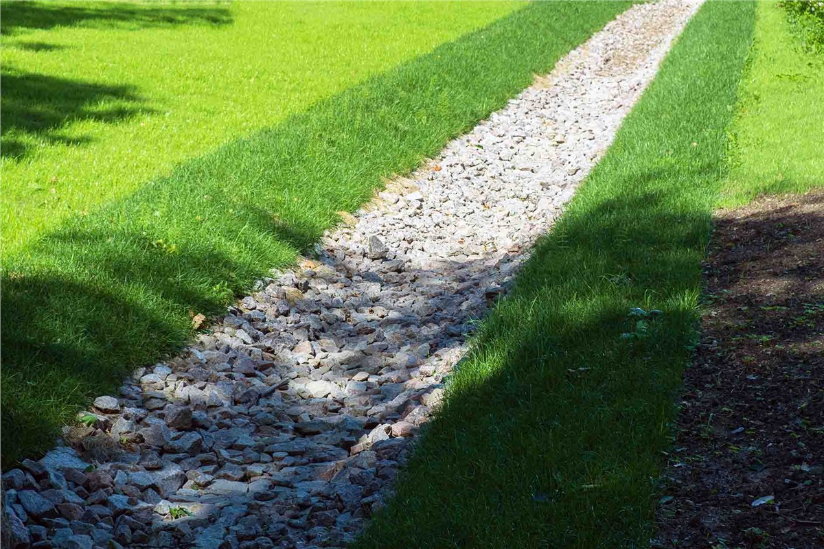 Dry Creek Bed vs French Drain: Complete Comparison Guide (2025)