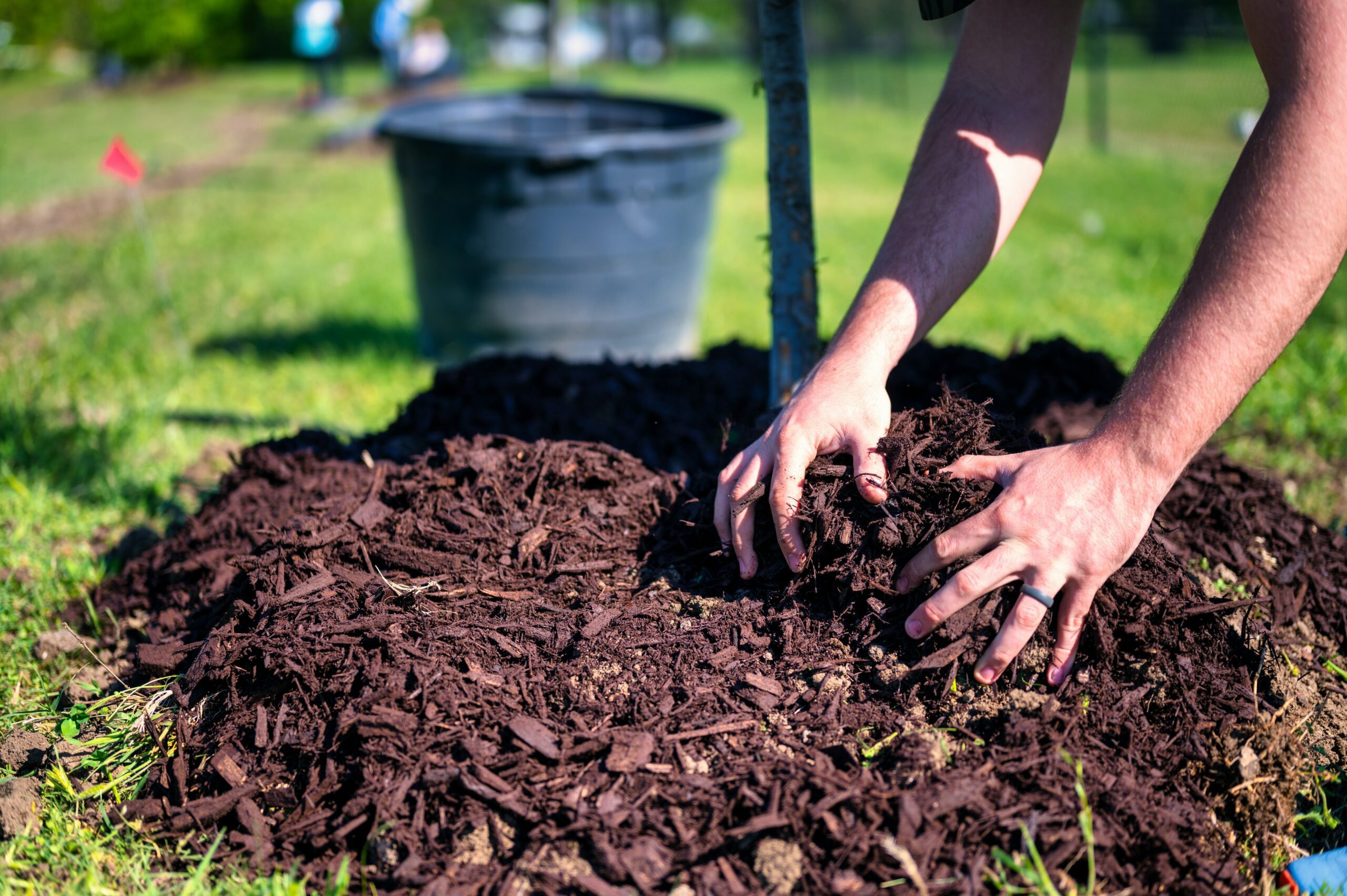 Mulch Installation Services Franklin & Brentwood: Professional Landscape Mulching 2025