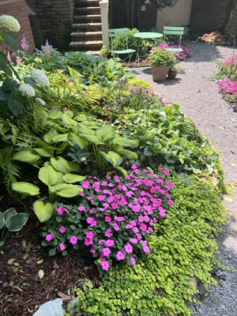 Perennial Border Planting