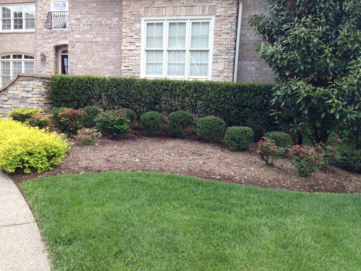 Foundation Planting